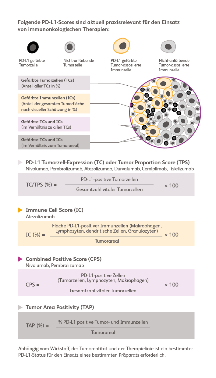 Schaubild PD-L1 Scores für diagnostische IHC-Ergebnisse